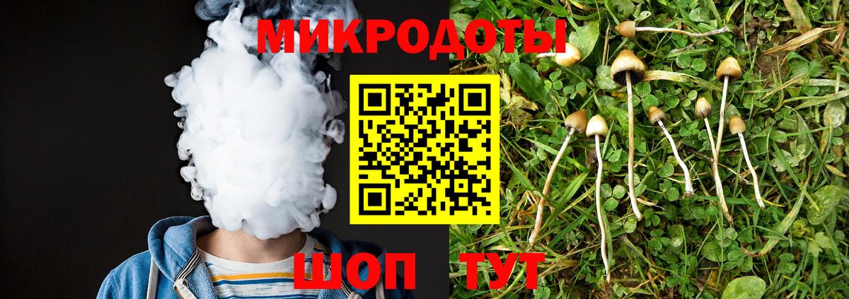 Балтийск  Псилоцибиновые грибы Psilocybine cubensis  Псилоцибиновые грибы Psilocybine cubensis  Вход с VPN 